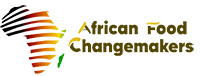 african changing narratives logo